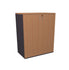 Medium Height Swing Door Cabinet