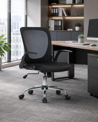 Low Back Mesh Office Chair (1201 Black)