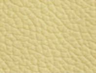 PISCES Mid Back PU Leather Office Chair
