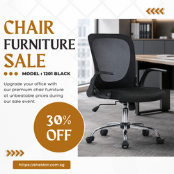 Low Back Mesh Office Chair (1201 Black)